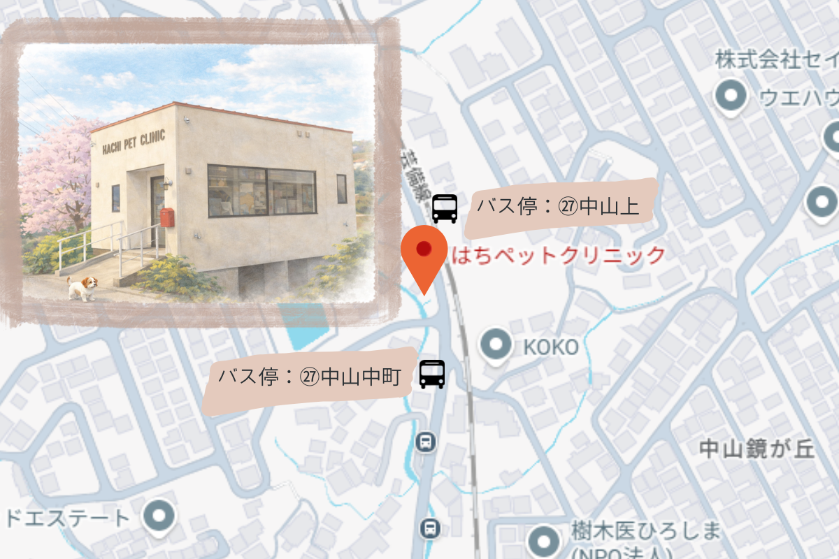 はちペットクリニック アクセスマップ